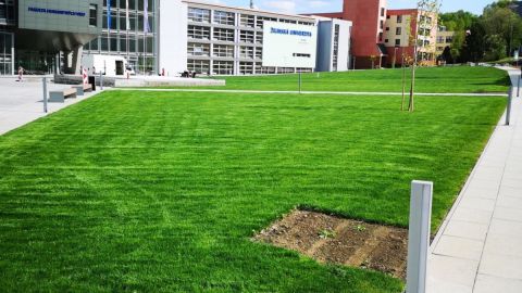 Revitalizácia "zelenej" a "modrej" infraštruktúry vstupného verejného priestranstva